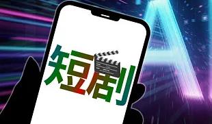 黄友政全锦赛男单冠军