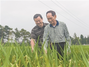 守好绿水青山 做实富民产业(牢记初心使命 奋进复兴征程)