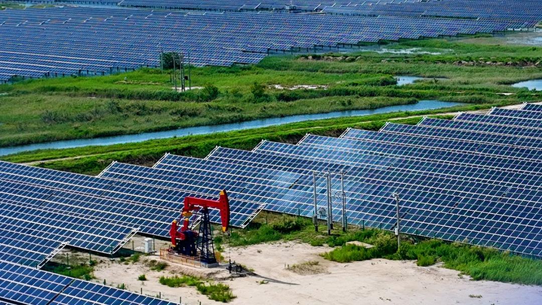 习近平会见白俄罗斯总统卢卡申科