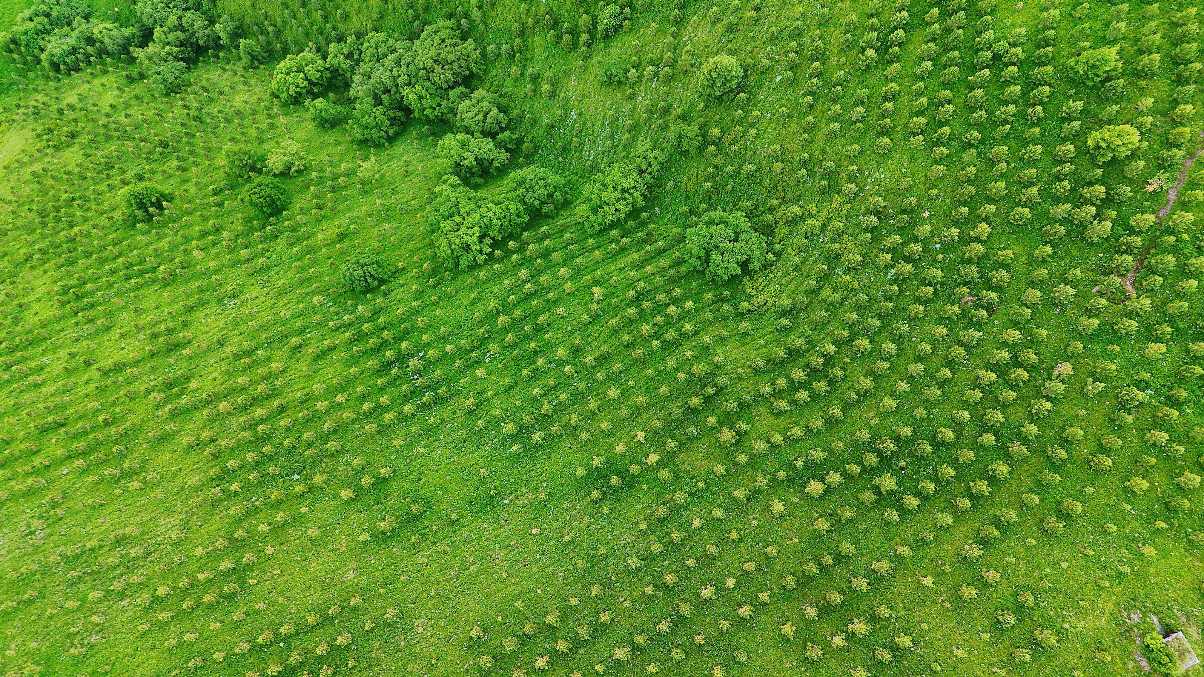 高清在线播放