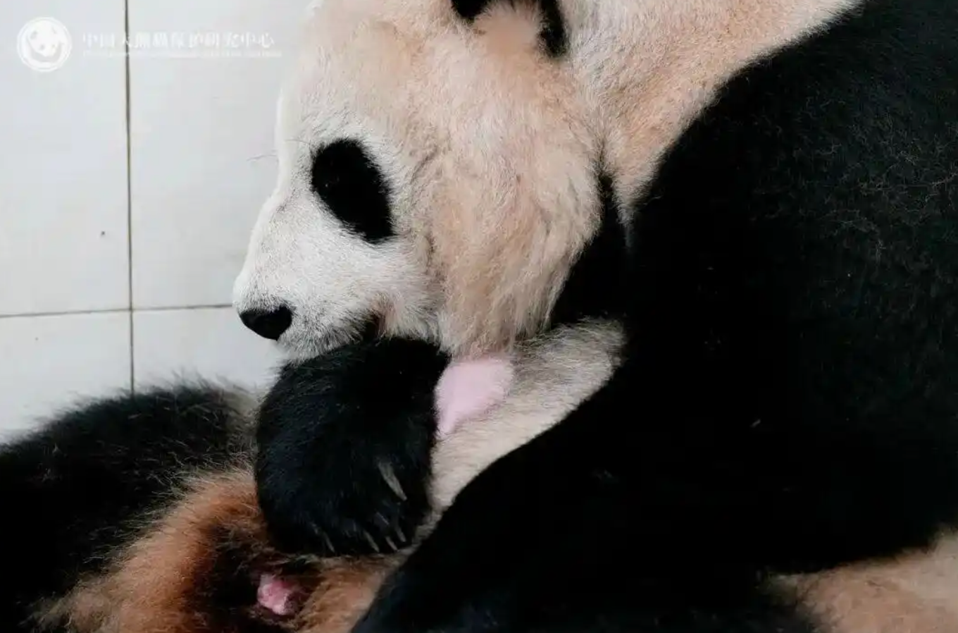 李沁妆造