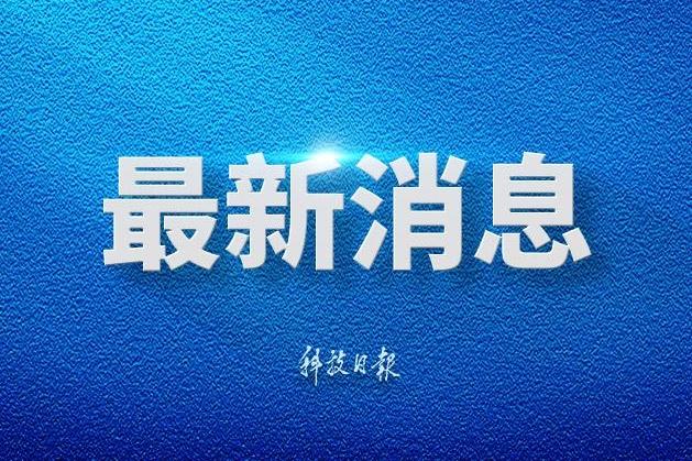 认哥赌博诈骗上亿韩元