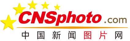 全员晋级八强