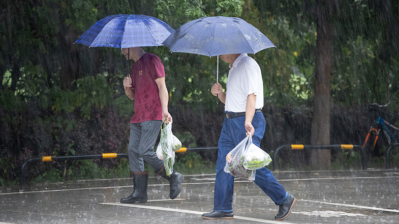 听泉鉴宝喊话别再神话我了