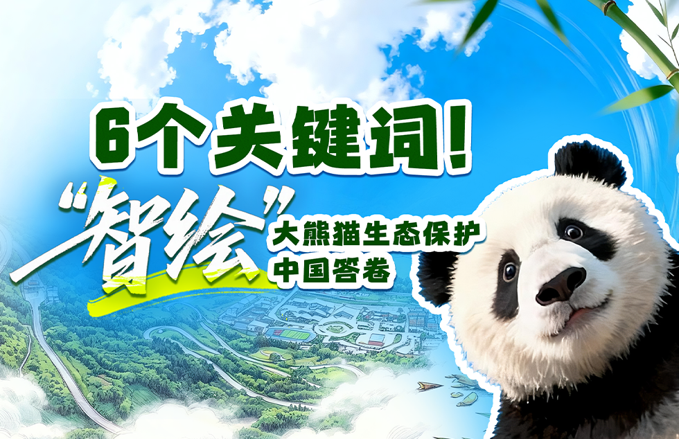 习言道｜走到田间地头，总书记说完夏粮说秋粮