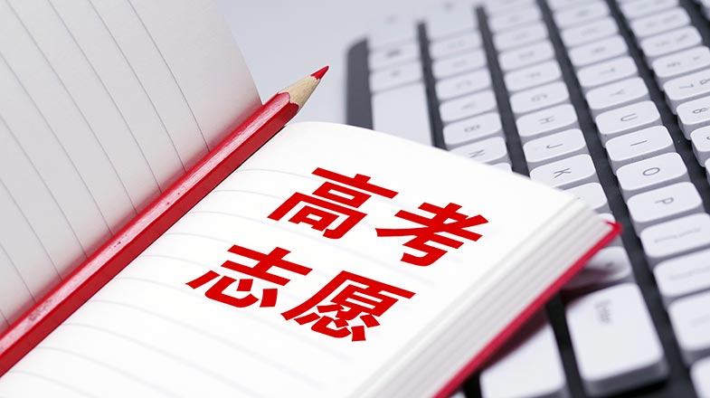 成全免费高清观看在线电视剧